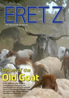 ERETZ 163 cover