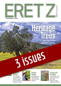 3issues