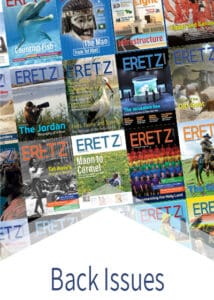 Back Issues