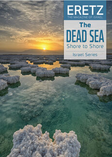 MetropolisThe-Dead-Sea-coverWeb