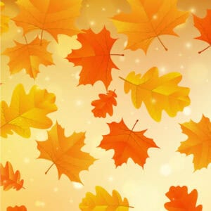 Autum SALE