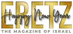 cropped-New-year-logo.png