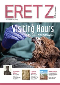 ERETZcover184WEB