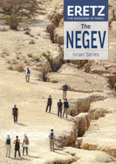 The Negev