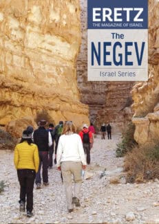 The Negev